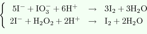 \begin{displaymath}
\left\{
\begin{array}{ccl}
\ensuremath{\mathrm{
5I^-+IO_3^-...
...tarrow &
\ensuremath{\mathrm{
I_2+2H_2O
}}
\end{array}\right.
\end{displaymath}