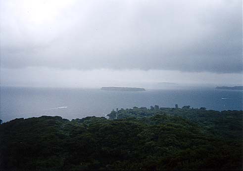 �}�R�W�]�䂩��̒���