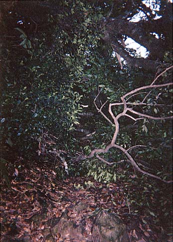 �債�����Ƃ͂Ȃ�����